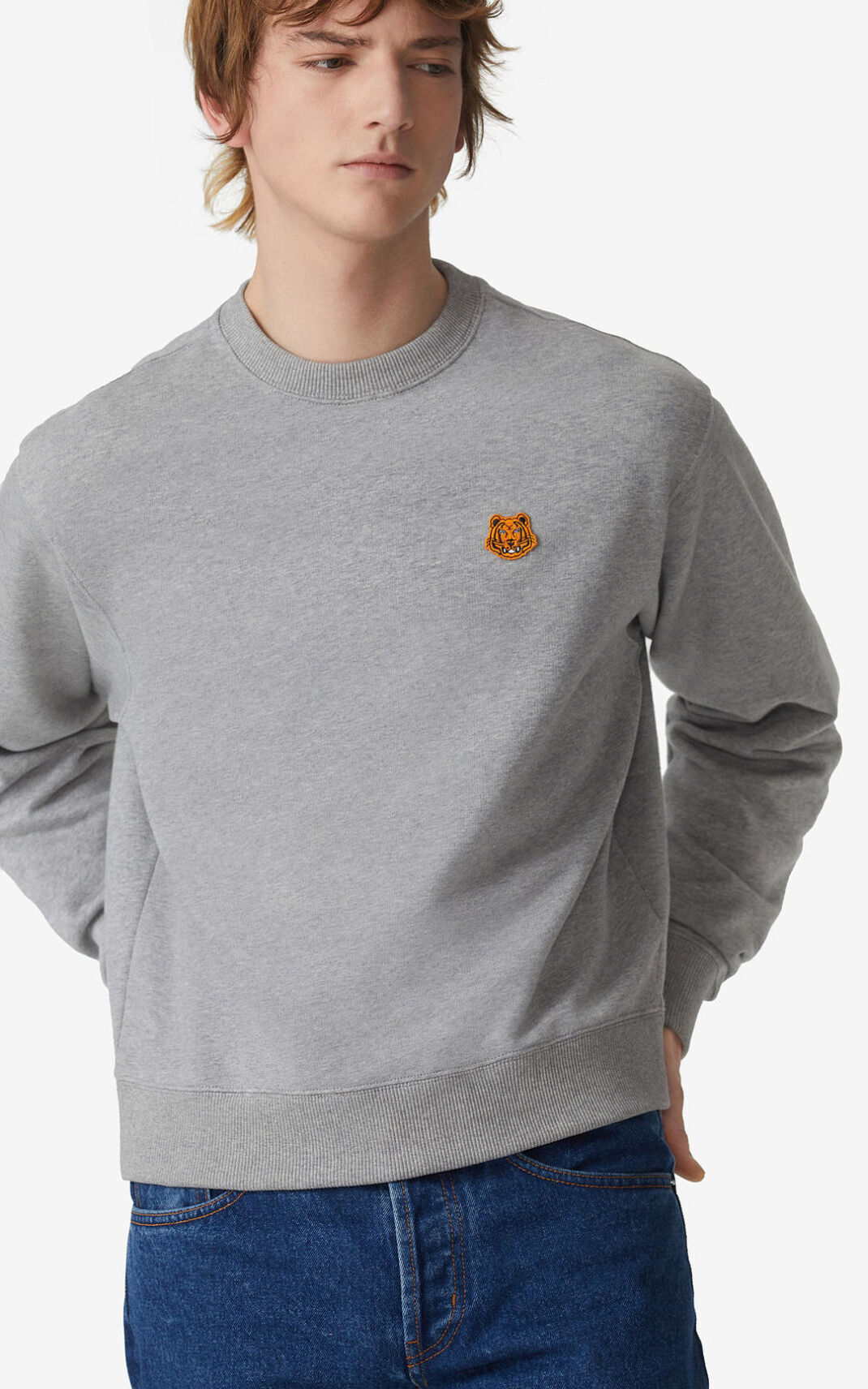 Sweatshirt Kenzo Tiger Crest Masculino - Cinzentas | 794ZTPKDC